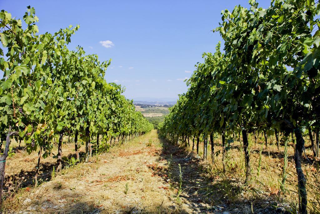 モンテスペルトリ Fattoria Poggio Capponiヴィラ エクステリア 写真