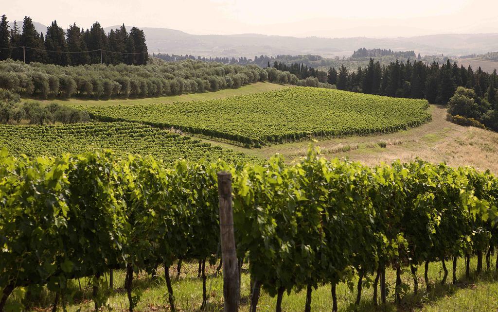 モンテスペルトリ Fattoria Poggio Capponiヴィラ エクステリア 写真