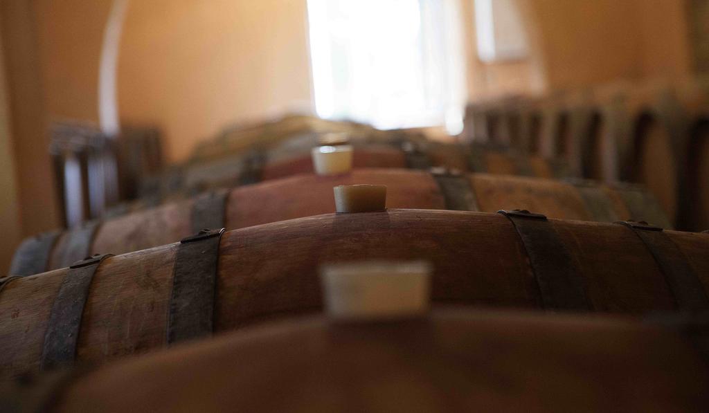 モンテスペルトリ Fattoria Poggio Capponiヴィラ エクステリア 写真